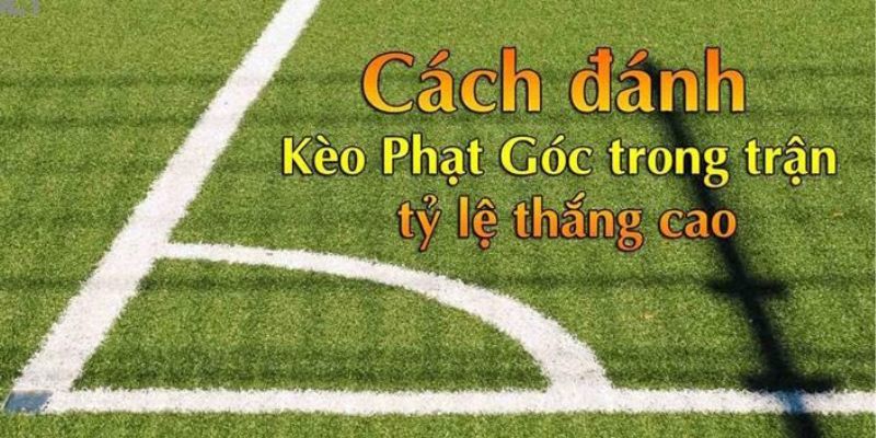 Cách tối ưu cơ hội chiến thắng khi chơi kèo phạt góc